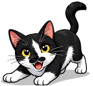 Excited Cat